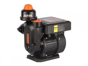 ZOTA Lilu pro 600 Станция авт. водоснабжения